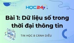 Bài 1: Dữ liệu số trong thời đại thông tin