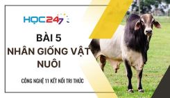 Bài 5: Nhân giống vật nuôi