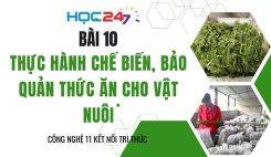Bài 10: Thực hành chế biến, bảo quản thức ăn cho vật nuôi