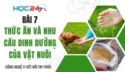 Bài 7: Thức ăn và nhu cầu dinh dưỡng của vật nuôi