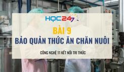 Bài 9: Bảo quản thức ăn chăn nuôi