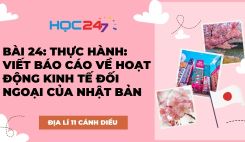 Bài 24: TH: Viết báo cáo về hoạt động kinh tế đối ngoại của Nhật Bản
