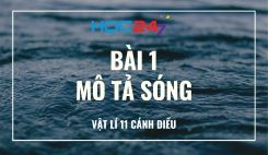 Bài 1: Mô tả sóng