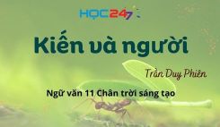 Kiến và người - Trần Duy Phiên