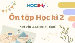 Ôn tập Học kì 2