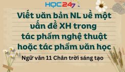 Viết văn bản NL về một vấn đề XH trong tác phẩm nghệ thuật hoặc văn học