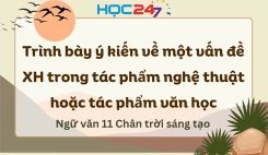 Trình bày ý kiến về một vấn đề XH trong tác phẩm nghệ thuật hoặc văn học