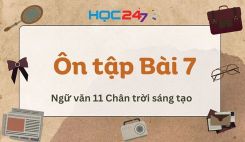 Ôn tập Bài 7