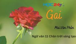 Gai - Mai Văn Phấn