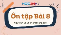 Ôn tập Bài 8