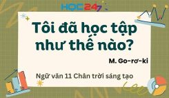 Tôi đã học tập như thế nào?