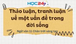 Thảo luận, tranh luận về một vấn đề trong đời sống