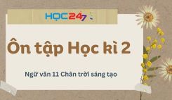 Ôn tập Học kì 2