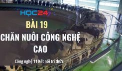 Bài 19: Chăn nuôi công nghệ cao