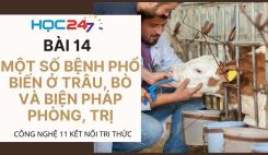 Bài 14: Một số bệnh phổ biến ở trâu, bò và biện pháp phòng, trị