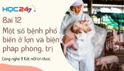 Bài 12: Một số bệnh phổ biến ở lợn và biện pháp phòng, trị