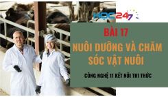 Bài 17: Nuôi dưỡng và chăm sóc vật nuôi