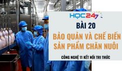 Bài 20: Bảo quản và chế biến sản phẩm chăn nuôi