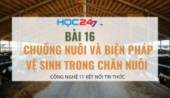 Bài 16: Chuồng nuôi và biện pháp vệ sinh trong chăn nuôi
