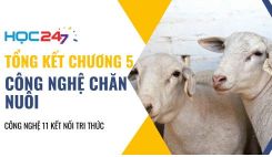 Tổng kết Chương 5