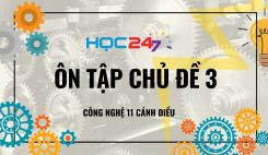 Ôn tập Chủ đề 3