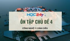 Ôn tập Chủ đề 4