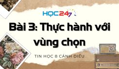 Bài 3: Thực hành với vùng chọn