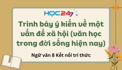 Trình bày ý kiến về một vấn đề xã hội