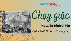 Chạy giặc - Nguyễn Đình Chiểu