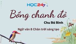 Bồng chanh đỏ - Đỗ Chu