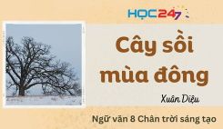 Cây sồi mùa đông