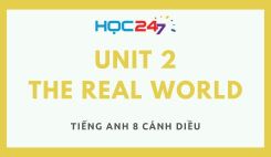 Unit 2 – The Real World