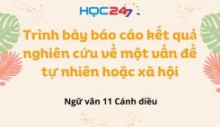 Trình bày báo cáo kết quả nghiên cứu về một vấn đề tự nhiên hoặc xã hội
