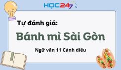 Tự đánh giá: Bánh mì Sài Gòn