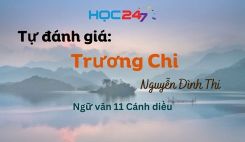 Tự đánh giá: Trương Chi