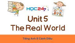 Unit 5 – The Real World
